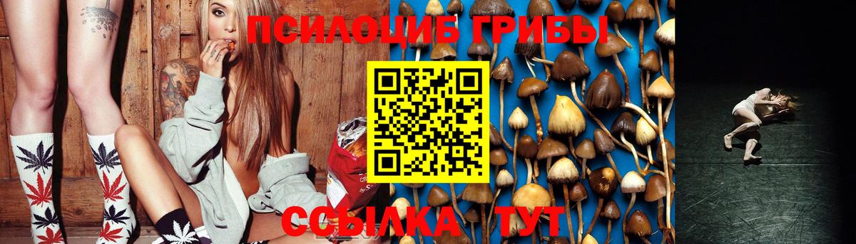 Бугуруслан  Псилоцибиновые грибы Psilocybine cubensis  Псилоцибиновые грибы прущие грибы  Вход с VPN 
